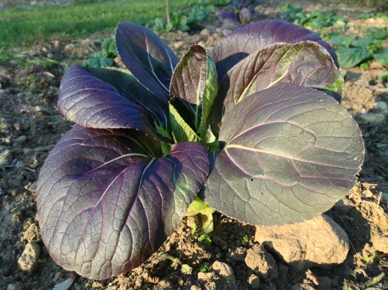 2013-10-29 16.38.26 HDR