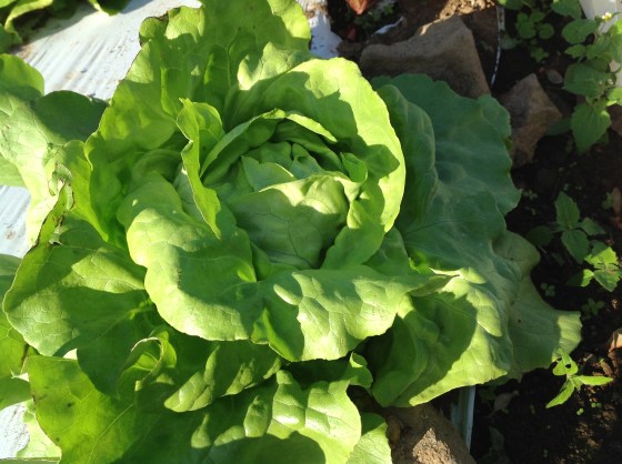 Photo Oct 14, 4 38 50 PM